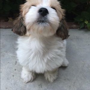 Meet your Posher, Beth